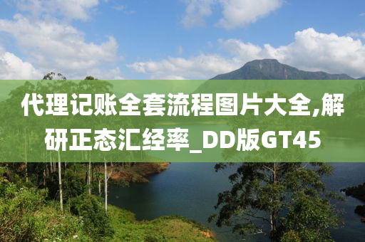 代理记账全套流程图片大全,解研正态汇经率_DD版GT45