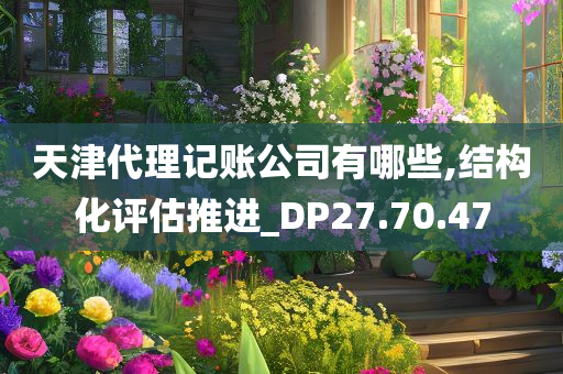 天津代理记账公司有哪些,结构化评估推进_DP27.70.47