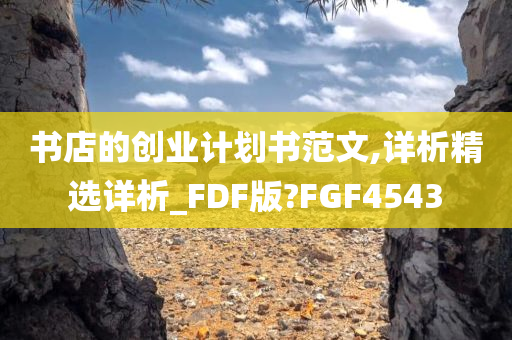 书店的创业计划书范文,详析精选详析_FDF版?FGF4543