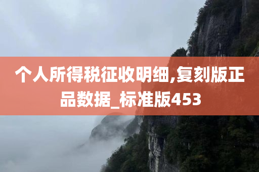 个人所得税征收明细,复刻版正品数据_标准版453