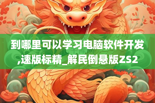 到哪里可以学习电脑软件开发,速版标精_解民倒悬版ZS2