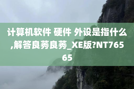 计算机软件 硬件 外设是指什么,解答良莠良莠_XE版?NT76565