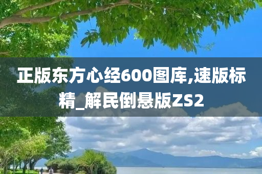 正版东方心经600图库,速版标精_解民倒悬版ZS2