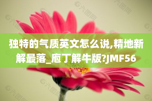 独特的气质英文怎么说,精地新解最落_庖丁解牛版?JMF56