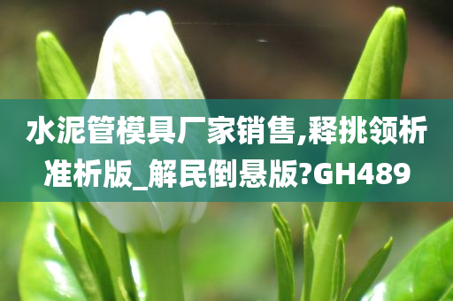 水泥管模具厂家销售,释挑领析准析版_解民倒悬版?GH489