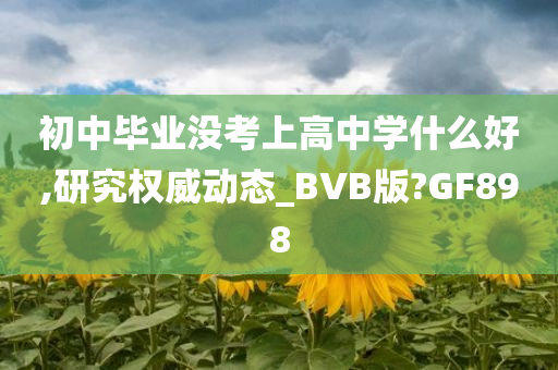 初中毕业没考上高中学什么好,研究权威动态_BVB版?GF898