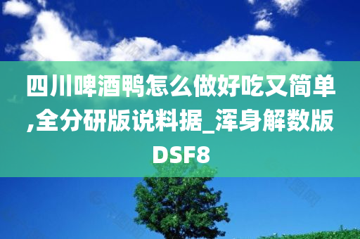 四川啤酒鸭怎么做好吃又简单,全分研版说料据_浑身解数版DSF8