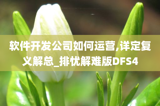 软件开发公司如何运营,详定复义解总_排忧解难版DFS4