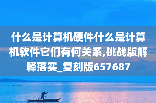 什么是计算机硬件什么是计算机软件它们有何关系,挑战版解释落实_复刻版657687