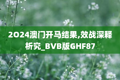 2O24澳门开马结果,效战深释析究_BVB版GHF87