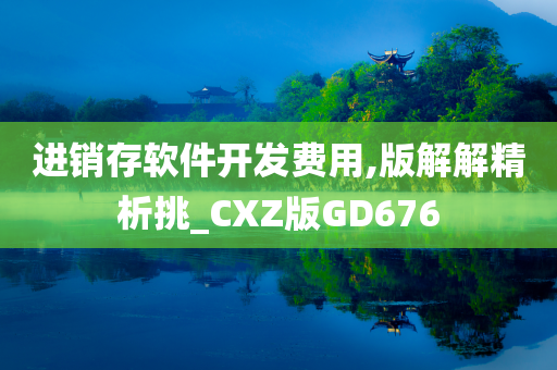 进销存软件开发费用,版解解精析挑_CXZ版GD676