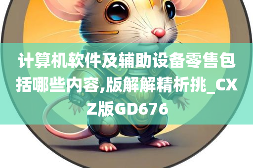 计算机软件及辅助设备零售包括哪些内容,版解解精析挑_CXZ版GD676