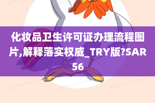 化妆品卫生许可证办理流程图片,解释落实权威_TRY版?SAR56