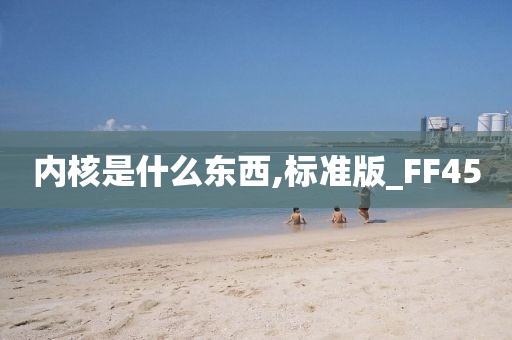 内核是什么东西,标准版_FF45