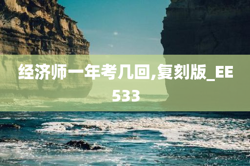 经济师一年考几回,复刻版_EE533