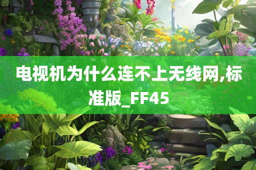 电视机为什么连不上无线网,标准版_FF45