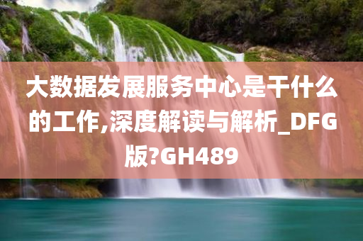 大数据发展服务中心是干什么的工作,深度解读与解析_DFG版?GH489