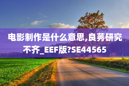 电影制作是什么意思,良莠研究不齐_EEF版?SE44565