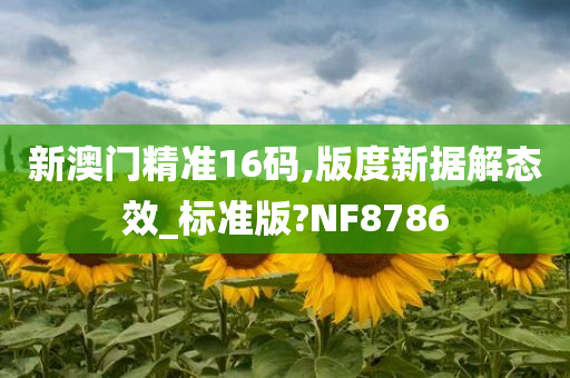 新澳门精准16码,版度新据解态效_标准版?NF8786