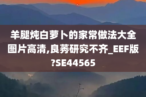 羊腿炖白萝卜的家常做法大全图片高清,良莠研究不齐_EEF版?SE44565