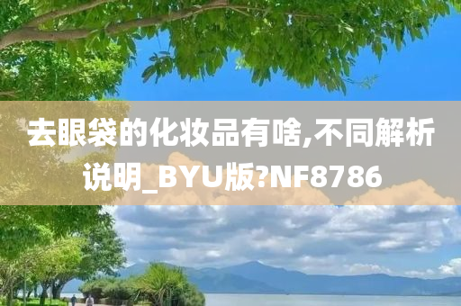 去眼袋的化妆品有啥,不同解析说明_BYU版?NF8786