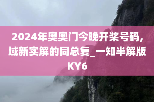 2024年奥奥门今晚开桨号码,域新实解的同总复_一知半解版KY6