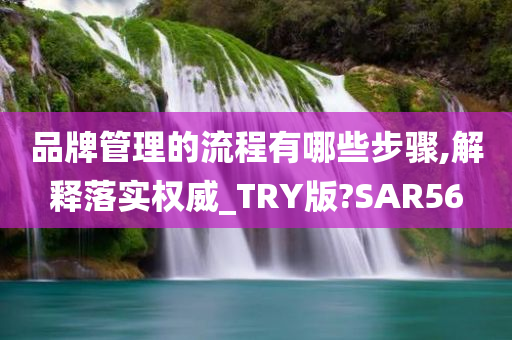 品牌管理的流程有哪些步骤,解释落实权威_TRY版?SAR56