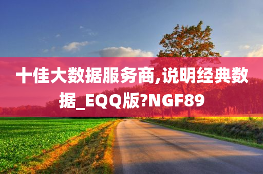 十佳大数据服务商,说明经典数据_EQQ版?NGF89