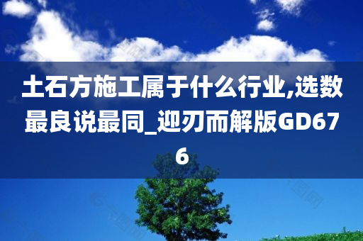 土石方施工属于什么行业,选数最良说最同_迎刃而解版GD676