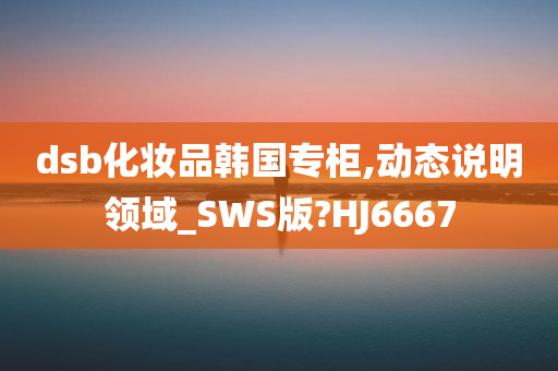 dsb化妆品韩国专柜,动态说明领域_SWS版?HJ6667