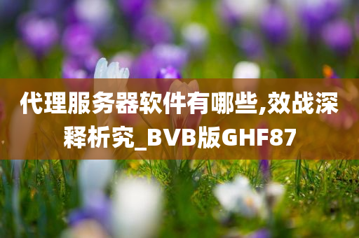 代理服务器软件有哪些,效战深释析究_BVB版GHF87