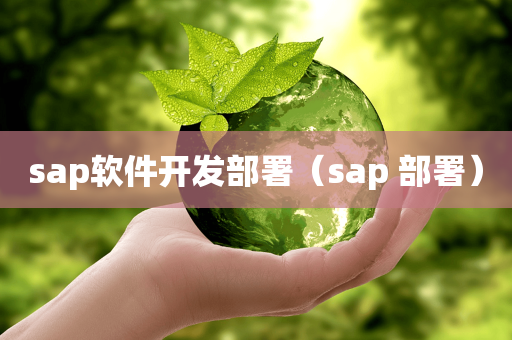 sap软件开发部署（sap 部署）