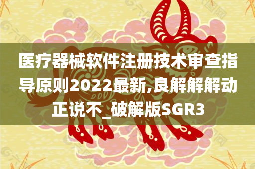 医疗器械软件注册技术审查指导原则2022最新,良解解解动正说不_破解版SGR3