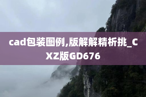 cad包装图例,版解解精析挑_CXZ版GD676