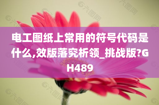 电工图纸上常用的符号代码是什么,效版落究析领_挑战版?GH489