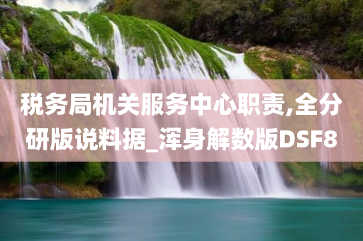 税务局机关服务中心职责,全分研版说料据_浑身解数版DSF8