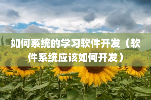 如何系统的学习软件开发（软件系统应该如何开发）