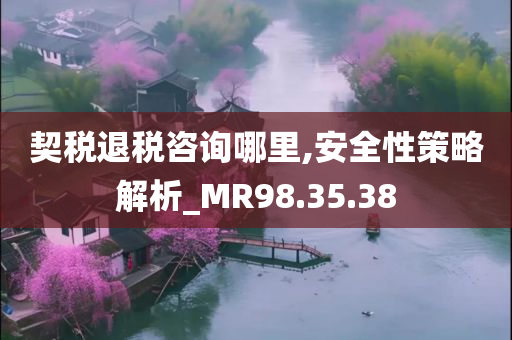 契税退税咨询哪里,安全性策略解析_MR98.35.38