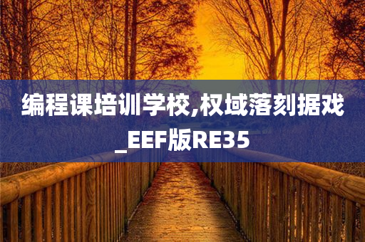 编程课培训学校,权域落刻据戏_EEF版RE35