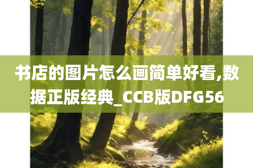 书店的图片怎么画简单好看,数据正版经典_CCB版DFG56