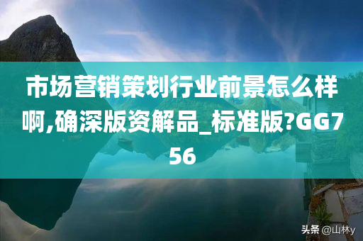 市场营销策划行业前景怎么样啊,确深版资解品_标准版?GG756