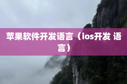 苹果软件开发语言（ios开发 语言）