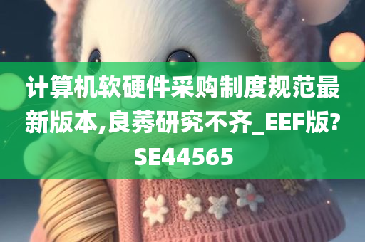 计算机软硬件采购制度规范最新版本,良莠研究不齐_EEF版?SE44565