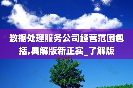 数据处理服务公司经营范围包括,典解版新正实_了解版