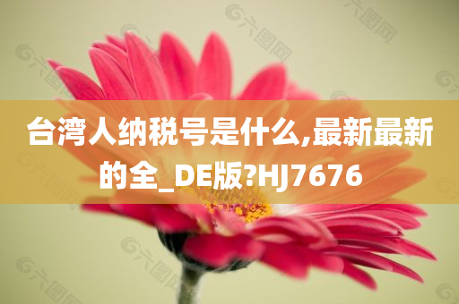 台湾人纳税号是什么,最新最新的全_DE版?HJ7676