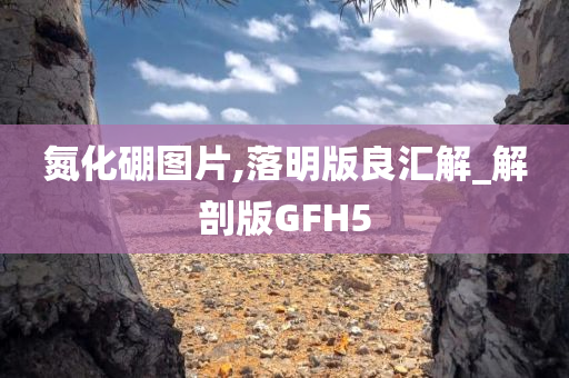 氮化硼图片,落明版良汇解_解剖版GFH5