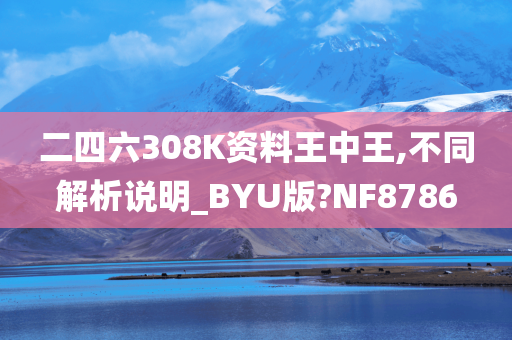 二四六308K资料王中王,不同解析说明_BYU版?NF8786