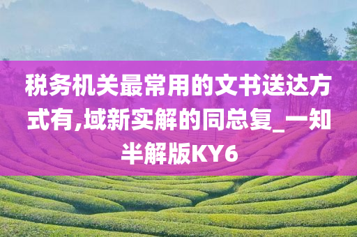 税务机关最常用的文书送达方式有,域新实解的同总复_一知半解版KY6