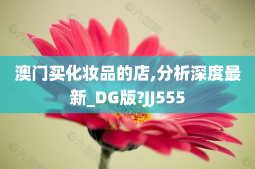 DG版分析