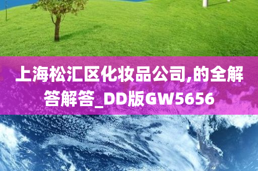 上海松汇区化妆品公司,的全解答解答_DD版GW5656